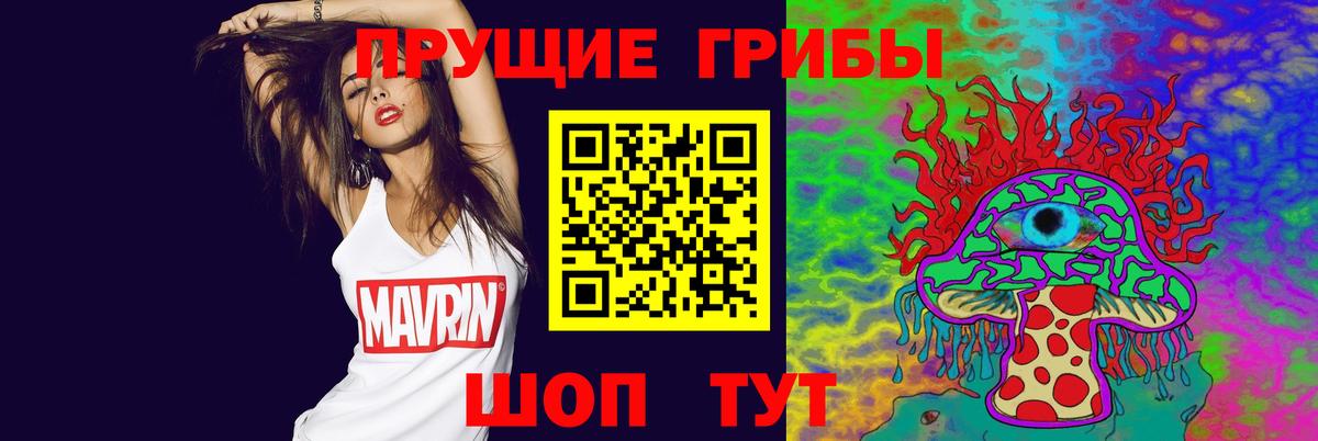 Псилоцибиновые грибы Psilocybine cubensis Полевской