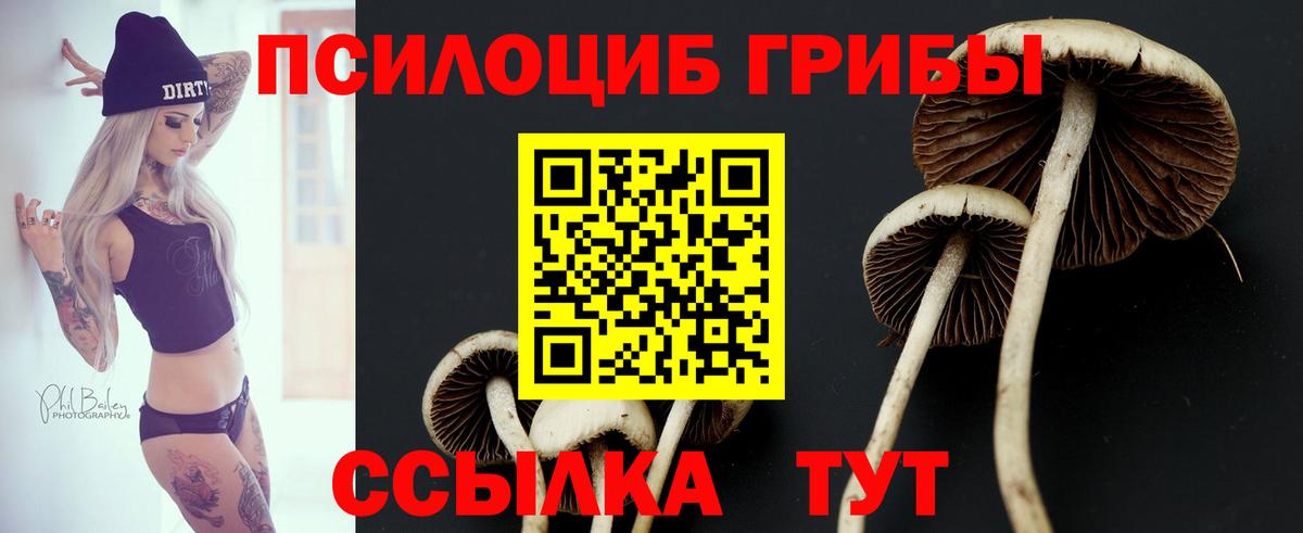 Галлюциногенные грибы Полевской