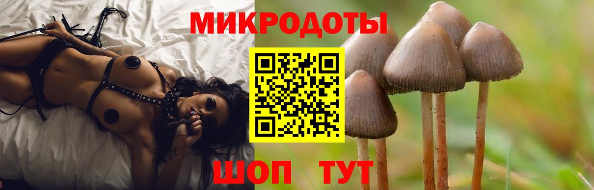 Полевской  Псилоцибиновые грибы Psilocybine cubensis  Вход с VPN 